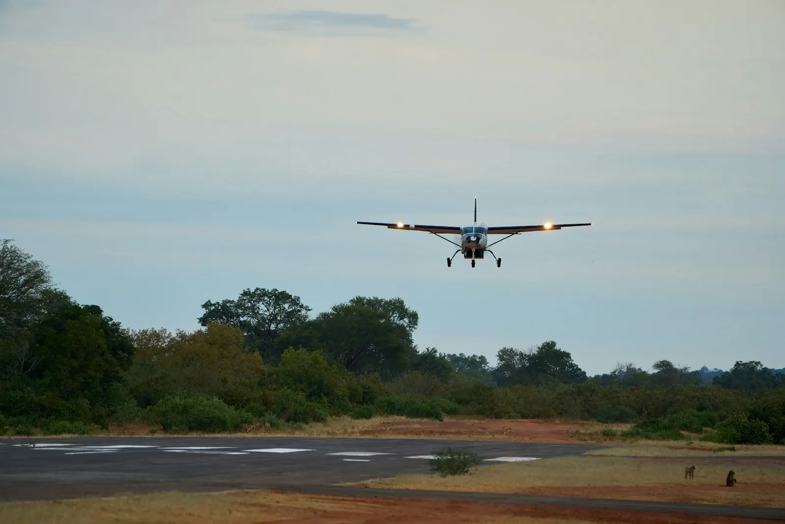 A Cessna Caravan on final approach to a bush airstrip